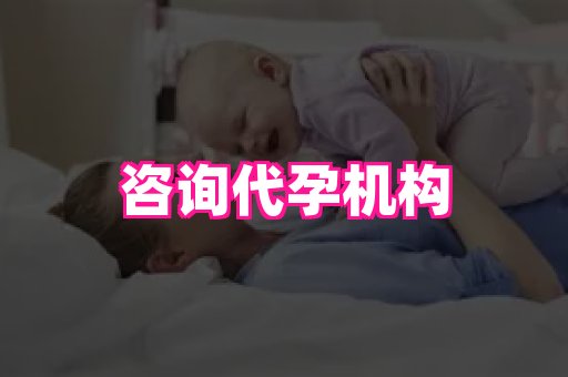 海口助孕网站 2
