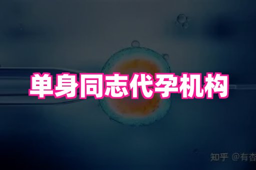 海口助孕网站 3
