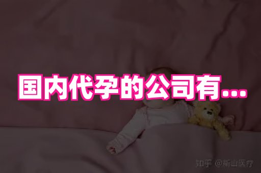 海口助孕网站 4